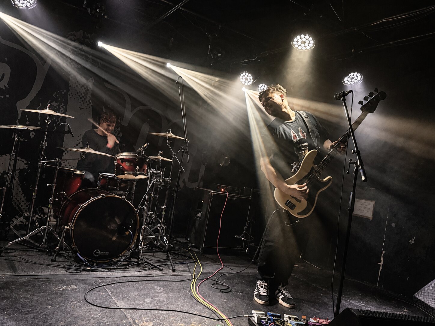 Electric Purge live